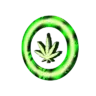 Mr.Grinder