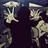 sassy_beoch_93