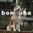 bomjuha